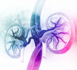 Renal Illnes