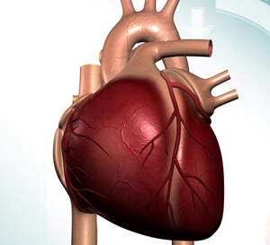 Cardiac Insufficiency